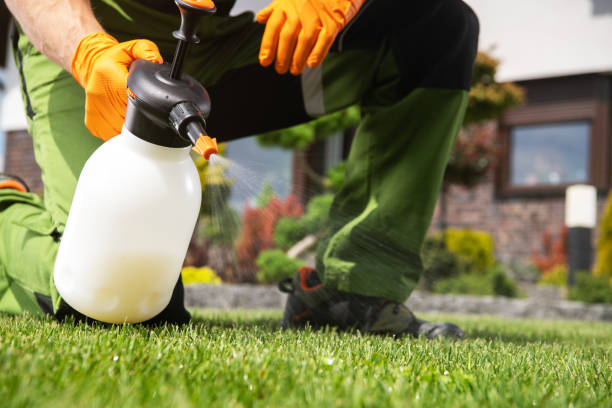 Best Rodent Control Near Me  in Concord, CA