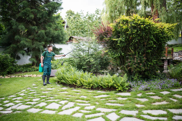 Best Pest Control Near Me in Concord, CA