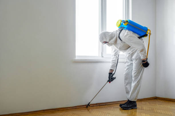 Best Commercial Pest Control Services  in Concord, CA