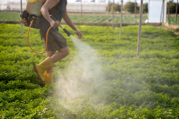 Best Best Pest Control Companies  in Concord, CA