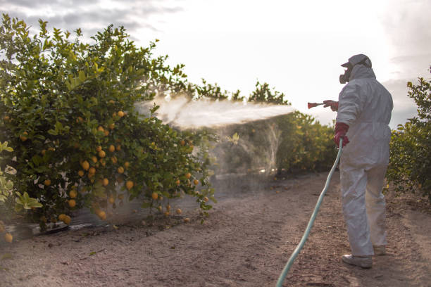 Best Best Pest Control Companies  in Concord, CA