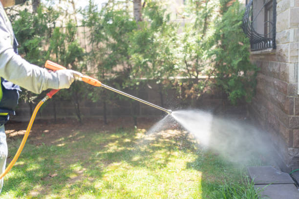 Best Pest Inspection Near Me  in Concord, CA