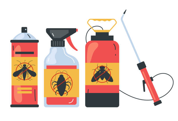 Best Ant Control Services  in Concord, CA