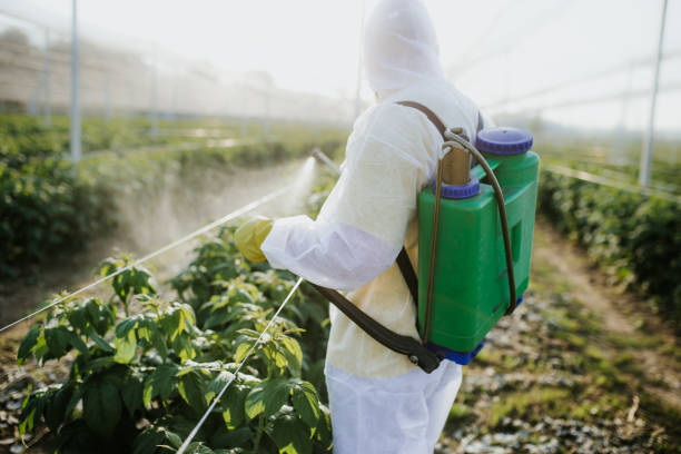 Best Residential Pest Control  in Concord, CA